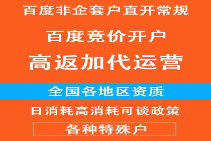 成功案例：一家初创企业如何通过百度关键词推广快速崛起